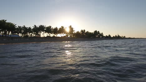 Kourou-Küstenstrand-In-Französisch-Guayana,-Luftaufnahme.-Kokosnussbaum-Silhouette-Sonne